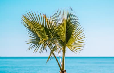 retiring abroad spain
