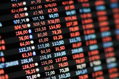 What are the main Investment types?