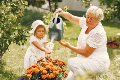 Married women’s pension windfall: full pension eligibility